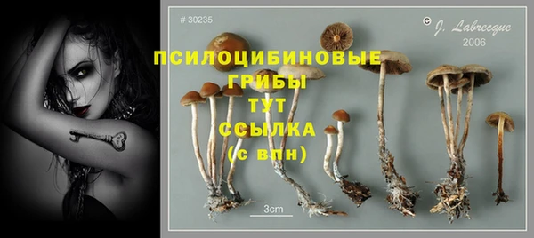 меф Балахна